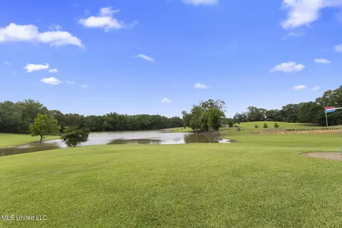 View/Area - 1600 Wright Rd, Raymond, MS 39154 photo 3 of 10