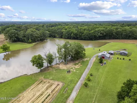 View/Area - 1600 Wright Rd, Raymond, MS 39154 photo 10 of 10