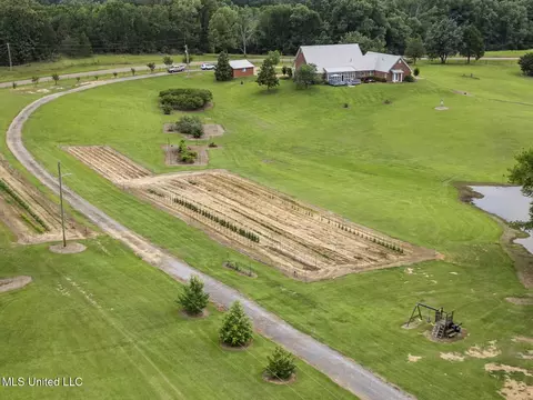 Other - 1600 Wright Rd, Raymond, MS 39154 photo 19 of 23