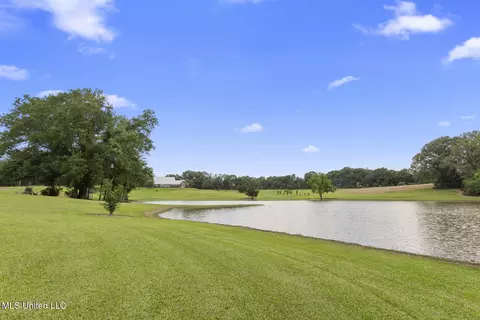 View/Area - 1600 Wright Rd, Raymond, MS 39154 photo 4 of 10