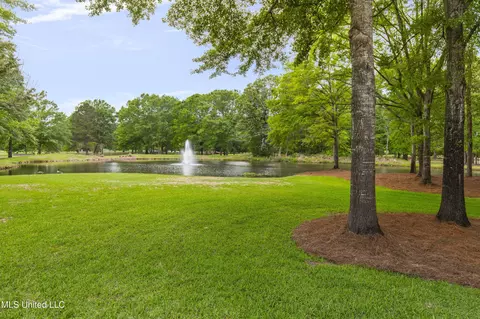 Other - 100 Stonebridge Dr, Madison, MS 39110 photo 2 of 9