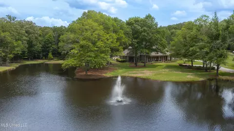 View/Area - 100 Stonebridge Dr, Madison, MS 39110 photo 1 of 1