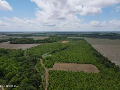 Brahan Road, Sledge, MS 38670