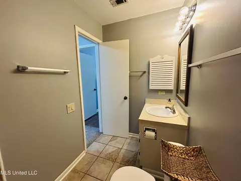 Bath - 344 Lakebend Dr, Brandon, MS 39042 photo 2 of 5