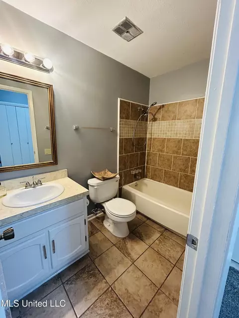 Bath - 344 Lakebend Dr, Brandon, MS 39042 photo 3 of 5