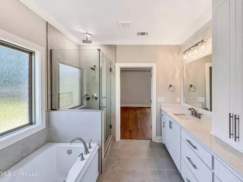 Bath - 652 Prosperity Pl, Brandon, MS 39042 photo 3 of 5