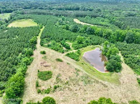 Franklin Road, Goodman, MS 39079 photo 5