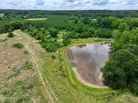 Franklin Road, Goodman, MS 39079 photo 4