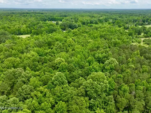 Franklin Road, Goodman, MS 39079 photo 15