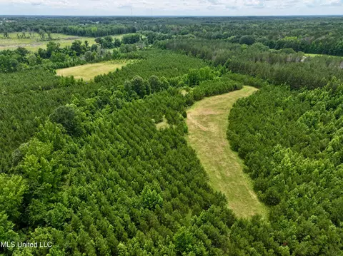 Franklin Road, Goodman, MS 39079 photo 10