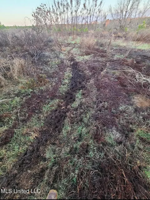 Franklin Road, Goodman, MS 39079 photo 42