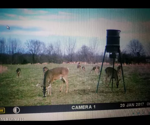 Franklin Road, Goodman, MS 39079 photo 32