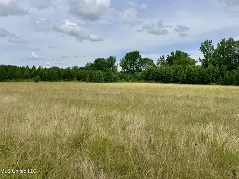 Franklin Road, Goodman, MS 39079 photo 18