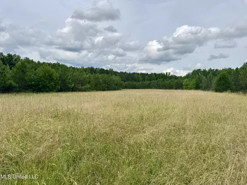Franklin Road, Goodman, MS 39079 photo 20