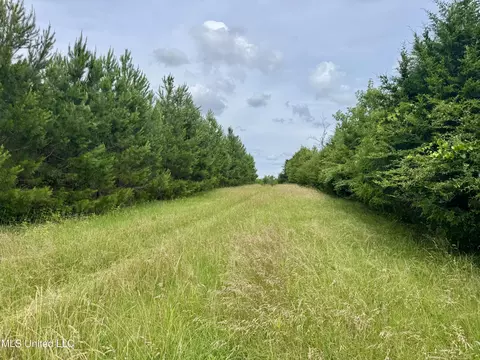 Franklin Road, Goodman, MS 39079 photo 21