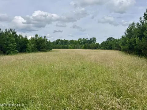 Franklin Road, Goodman, MS 39079 photo 19
