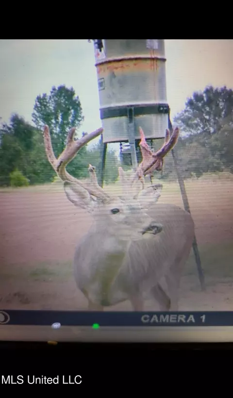 Franklin Road, Goodman, MS 39079 photo 25