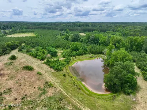 Franklin Road, Goodman, MS 39079 photo 6