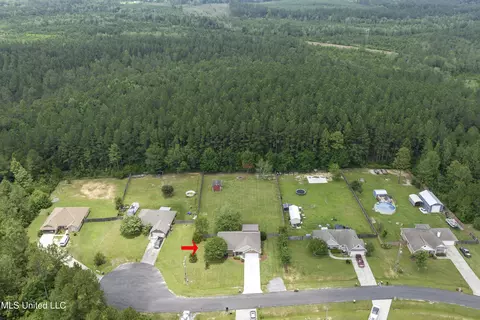 View/Area - 21380 Edgewood Dr, Saucier, MS 39574 photo 2 of 8