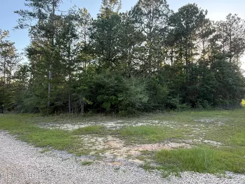 1 3 Ac Burnt Pine Rd, Leakesville, MS 39451