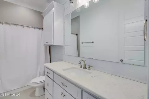 Bath - 327 River Forest Ln, Brandon, MS 39047 photo 3 of 3