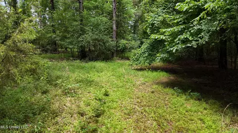 Stout Meadows Lane, Madison, MS 39110