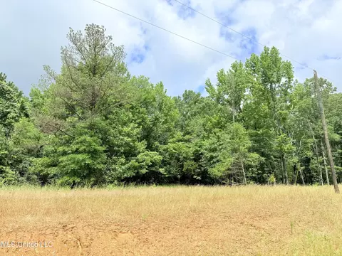 Stout Meadows Lane, Madison, MS 39110 photo 15