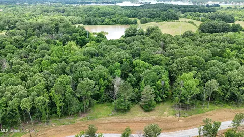 Stout Meadows Lane, Madison, MS 39110 photo 3