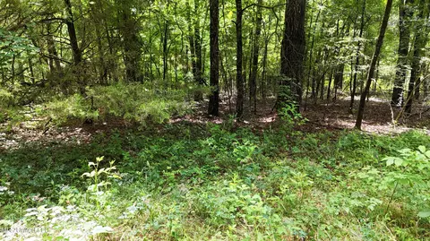 Stout Meadows Lane, Madison, MS 39110 photo 6