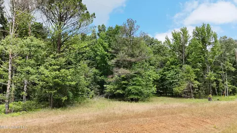 Stout Meadows Lane, Madison, MS 39110 photo 4