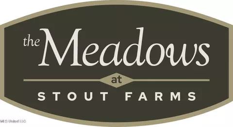 Stout Meadows Lane, Madison, MS 39110 photo 18