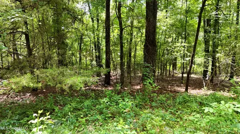 Stout Meadows Lane, Madison, MS 39110 photo 7