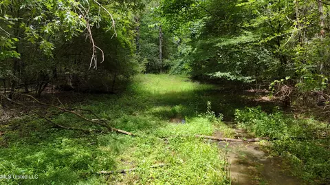 Stout Meadows Lane, Madison, MS 39110 photo 5