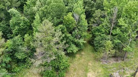 Stout Meadows Lane, Madison, MS 39110 photo 2