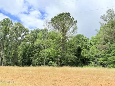 Stout Meadows Lane, Madison, MS 39110 photo 14