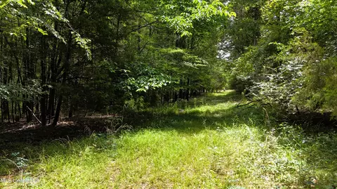 Stout Meadows Lane, Madison, MS 39110 photo 8