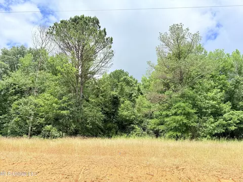 Stout Meadows Lane, Madison, MS 39110 photo 16