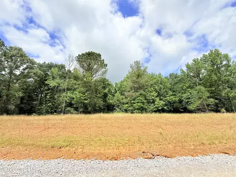 Stout Meadows Lane, Madison, MS 39110 photo 17