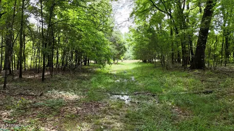 Stout Meadows Lane, Madison, MS 39110 photo 9