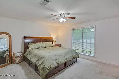 102 Holly Trl, Brandon, MS 39047 photo 23