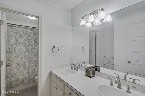 102 Holly Trl, Brandon, MS 39047 photo 29