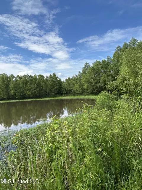 Yellowdog Road Road, Senatobia, MS 38668