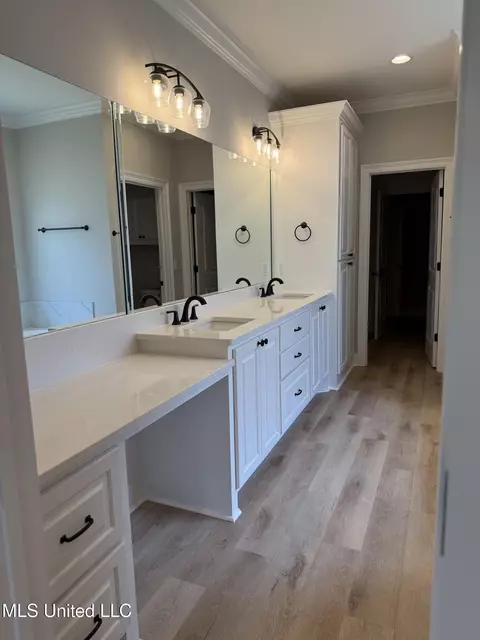Bath - 331 Willow Way, Canton, MS 39046 photo 3 of 6