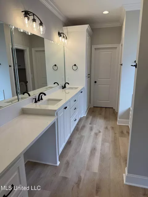Bath - 331 Willow Way, Canton, MS 39046 photo 1 of 6