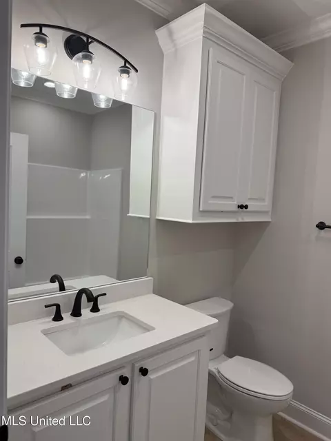 Bath - 331 Willow Way, Canton, MS 39046 photo 6 of 6