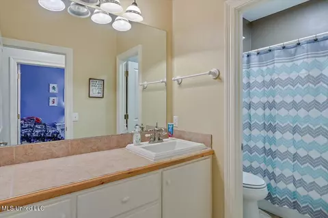 Bath - 355 Louise Ln, Brandon, MS 39042 photo 3 of 3