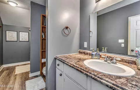 Bath - 4661 Wildwood Rd, Benton, MS 39039 photo 6 of 6