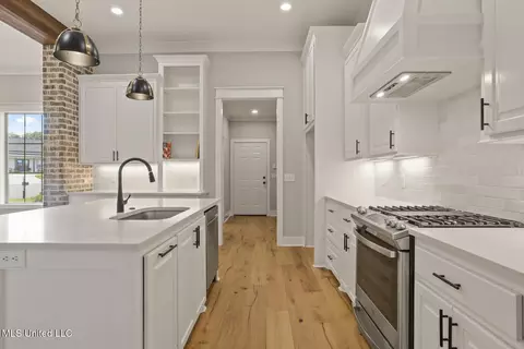 Entry Way - 302 Wind Cv, Madison, MS 39110 photo 2 of 3