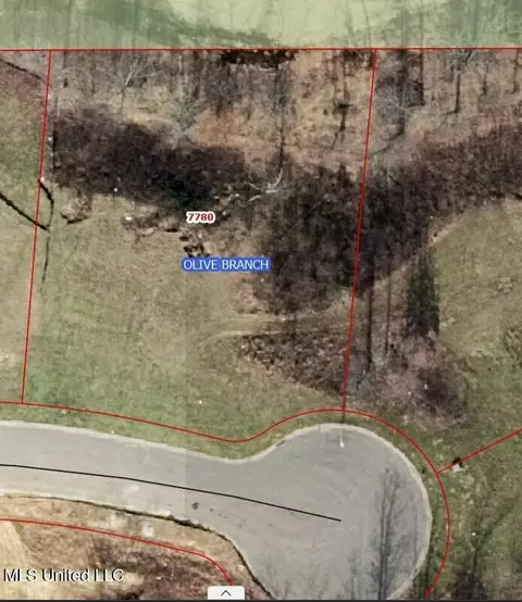 7780 Rowlett Dr, Olive Branch, MS 38654