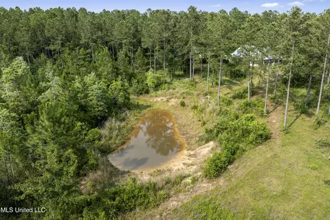 24031 Old River Rd, Vancleave, MS 39565 photo 42